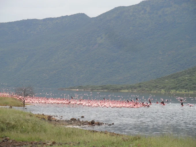 Lake Bogoria National Reserve