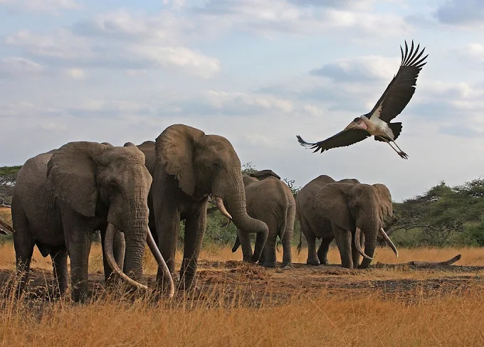 Chyulu Hills National Park
