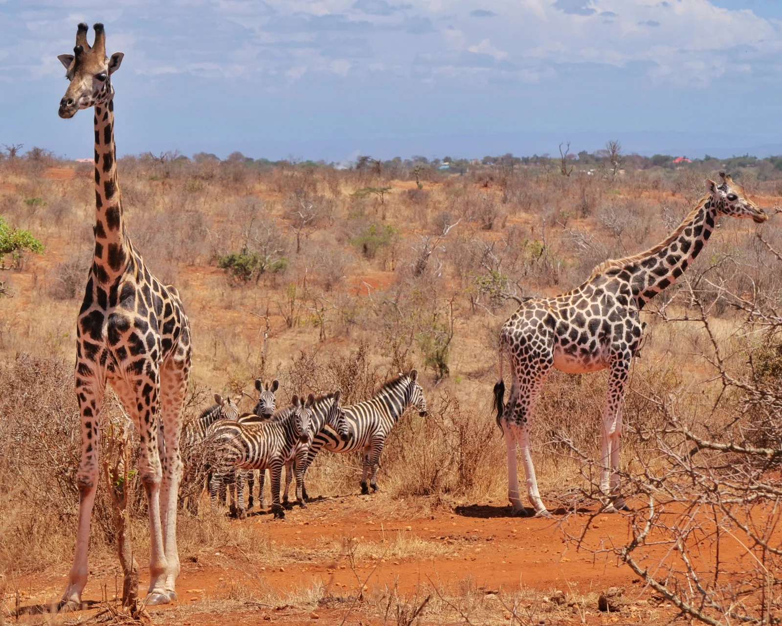 Mwea National Reserve