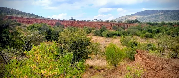 Lolldaiga Hills Conservancy