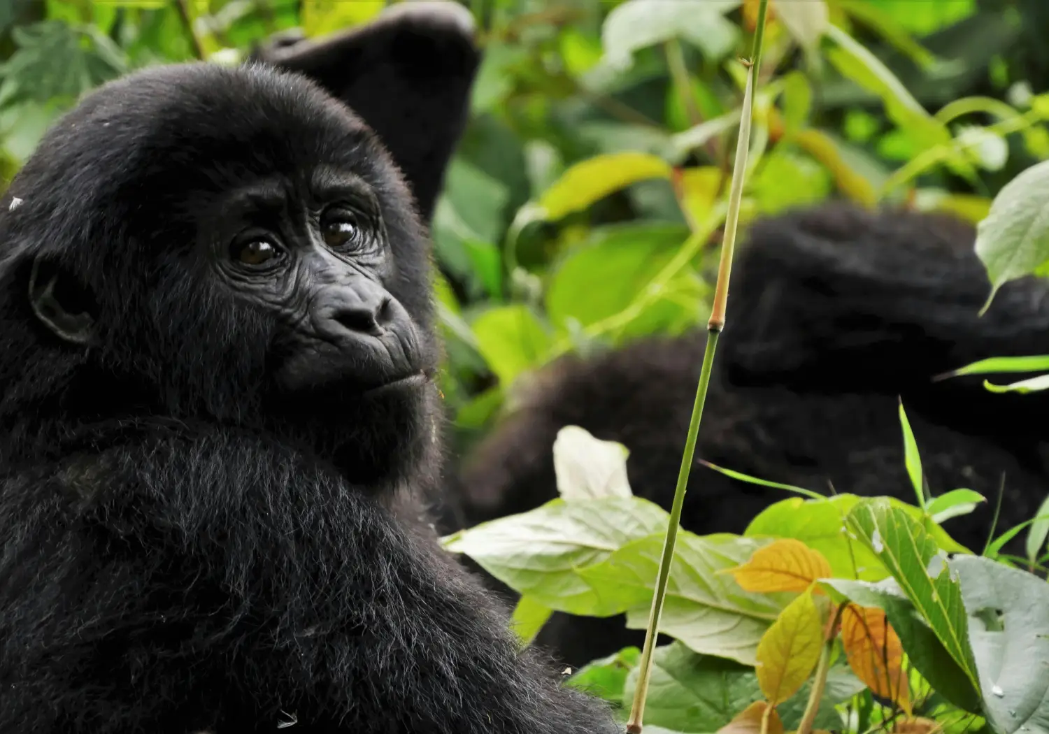 Uganda Destinations