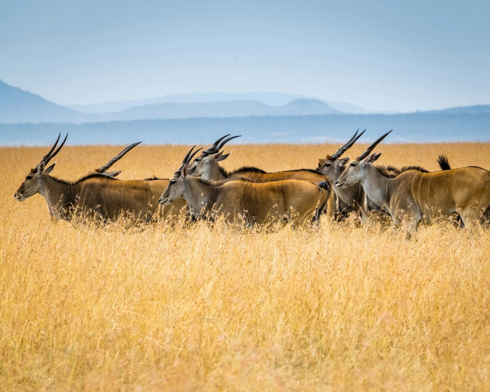Lemek Conservancy