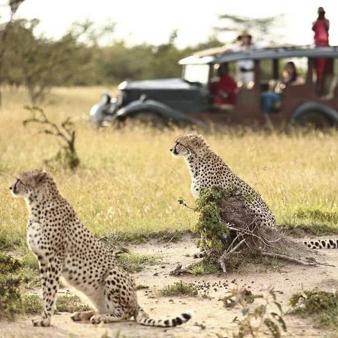 Ol Kinyei Conservancy