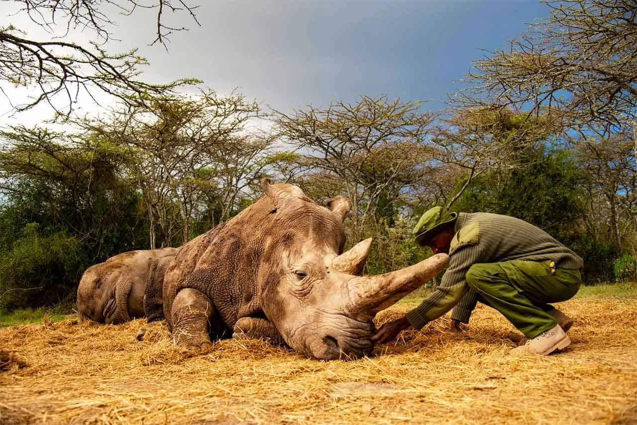 Ol Pejeta Conservancy
