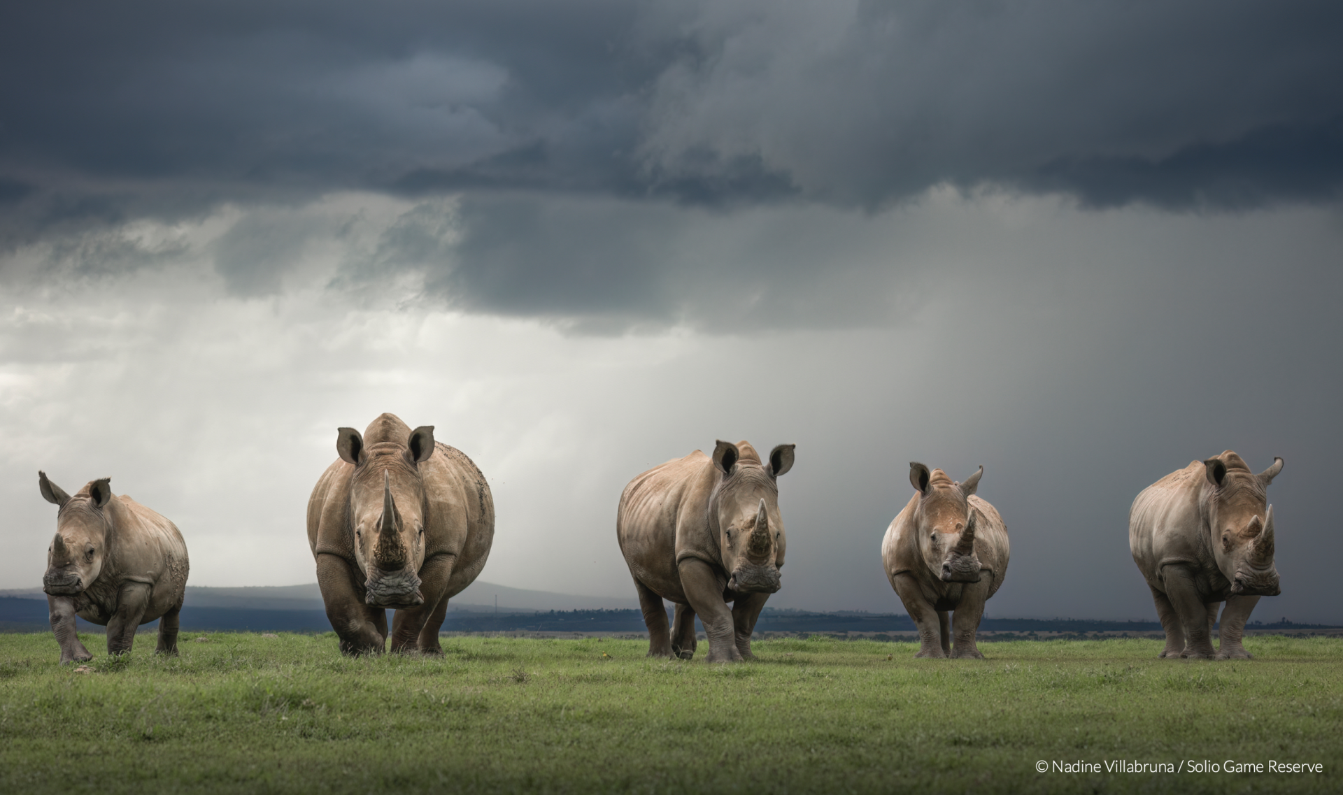 Solio Ranch Conservancy