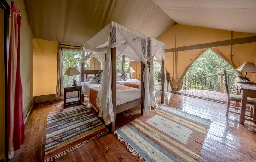 Ashnil Mara Camp gallery image 3