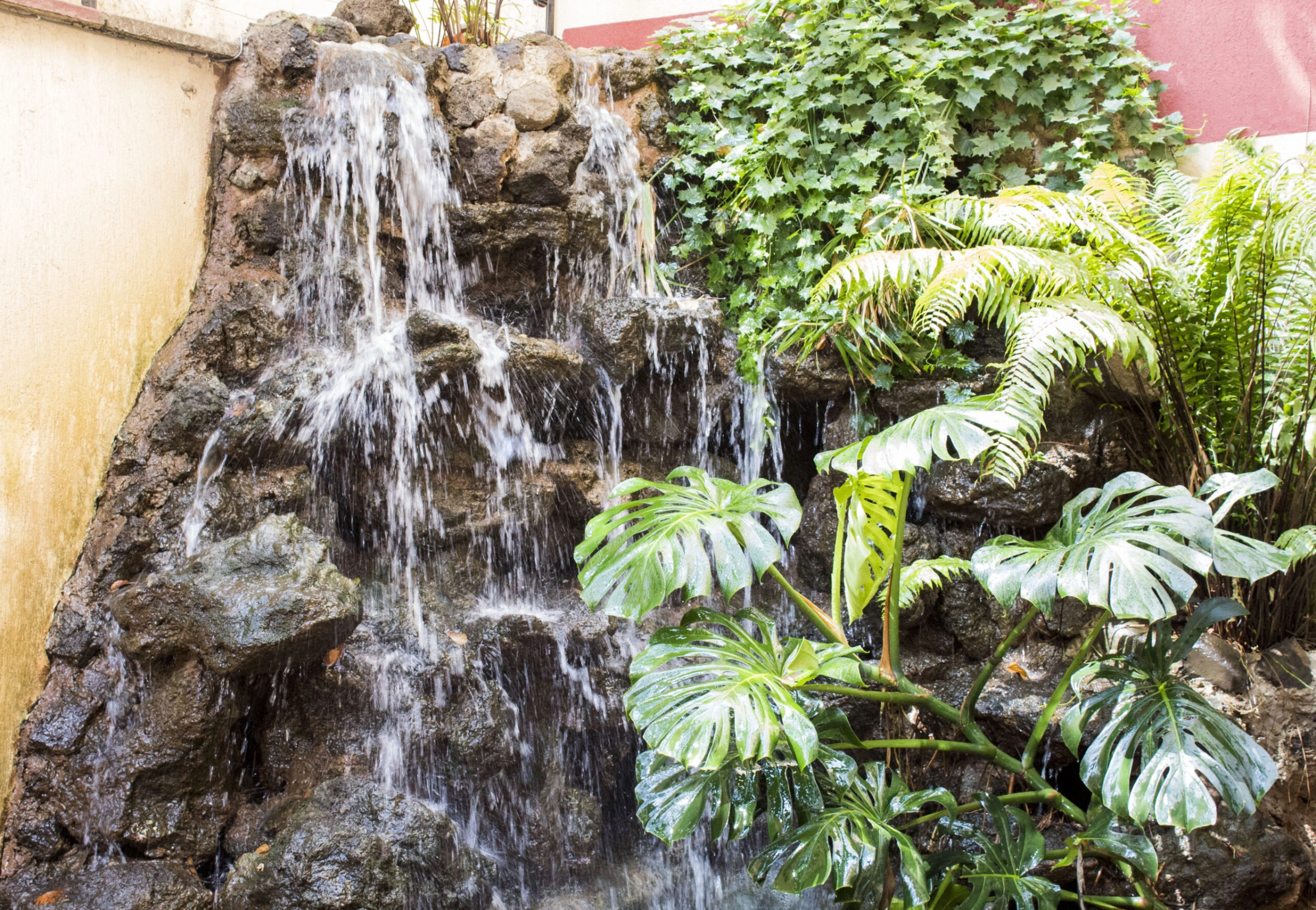 Hadassah Hotel 5
