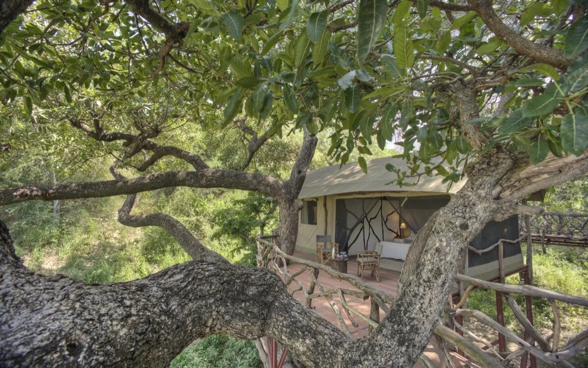 Sarara Treehouses ecolodge tented rooms in trees in Northern Kenya