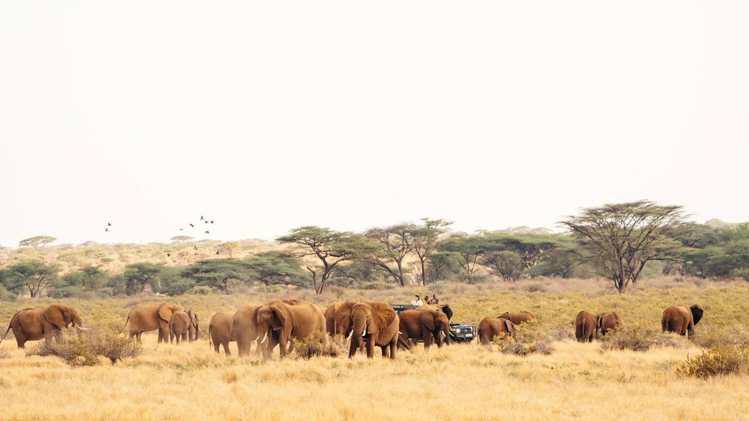 Sarara Camp