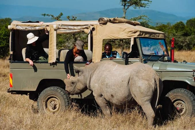3 Day Luxury Ol Pejeta Safari at Sweetwaters Serena