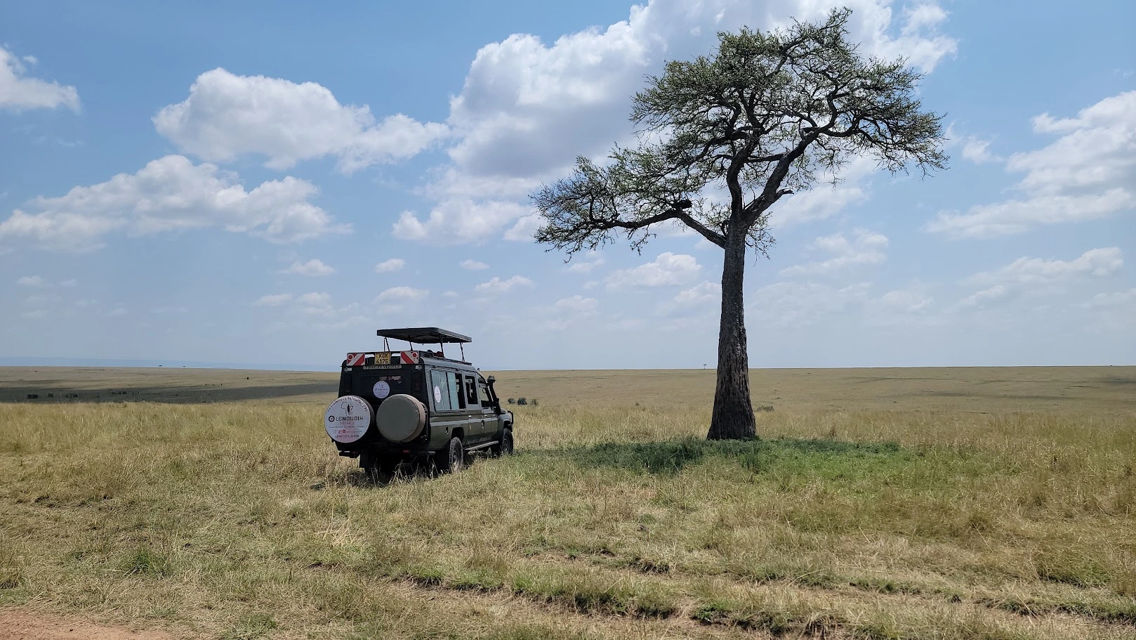 7 Day Kenya Elephants Lakes and Masai Mara Safari