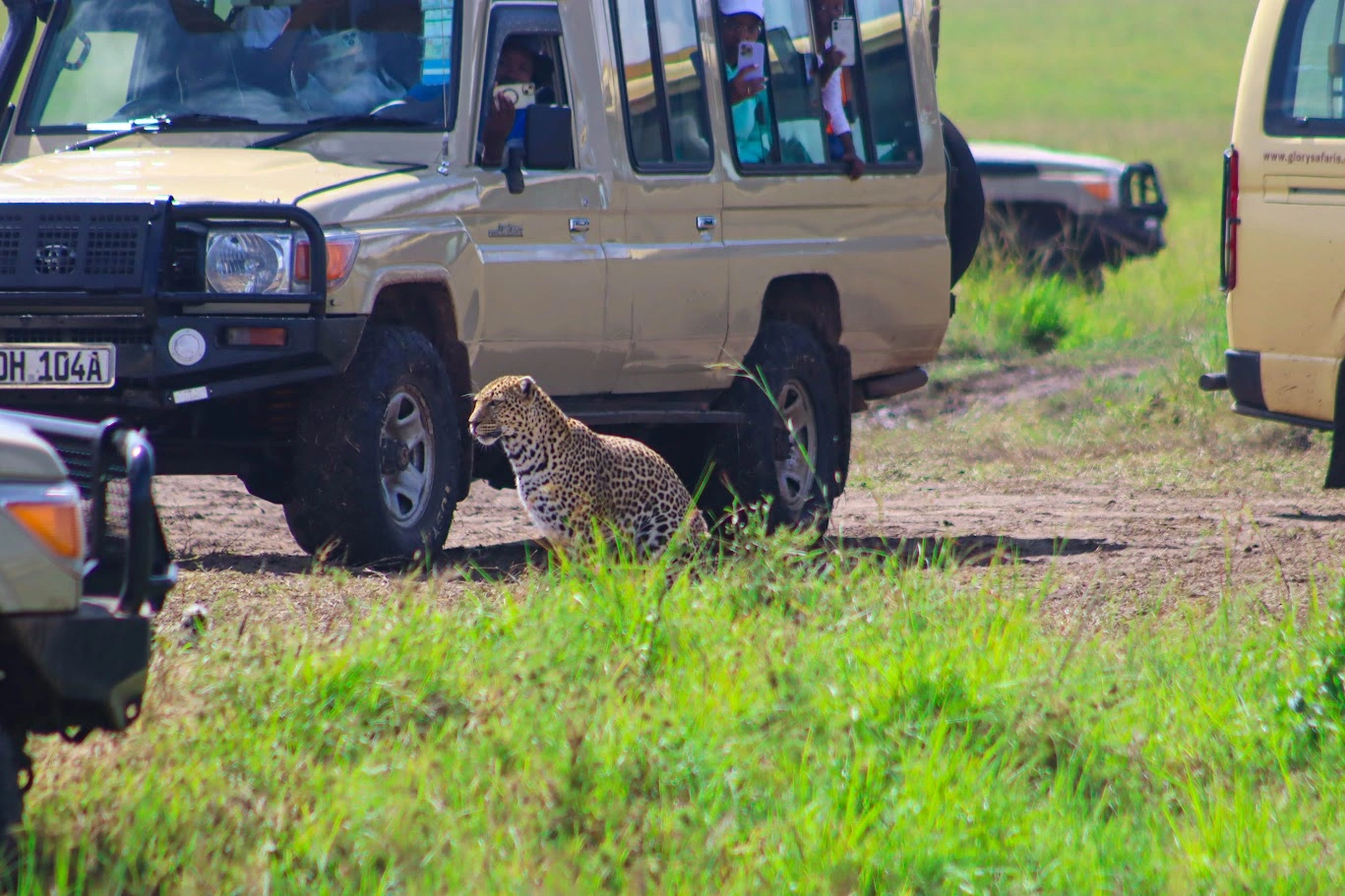4 Day Masai Mara & Lake Nakuru Group Joining Safari