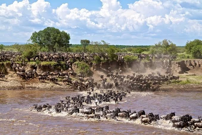 3 Day Masai Mara Great Migration Wildlife Safari Kenya